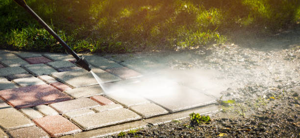 Best Driveway Pressure Washing  in Bayou Cane, LA